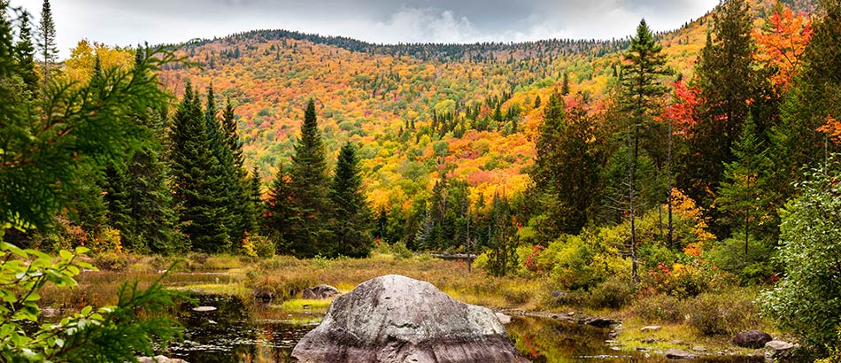 Indian Summer in Kanada