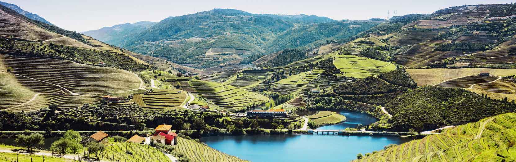 Weinreise Portugal