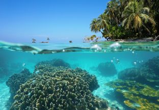 Unterwasserwelt Costa Rica