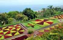 Jardim Botânico da Madeira