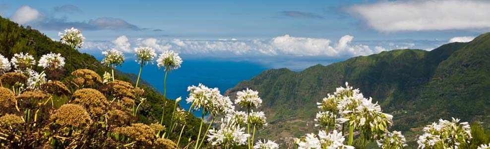 Madeira Reisevorbereitung